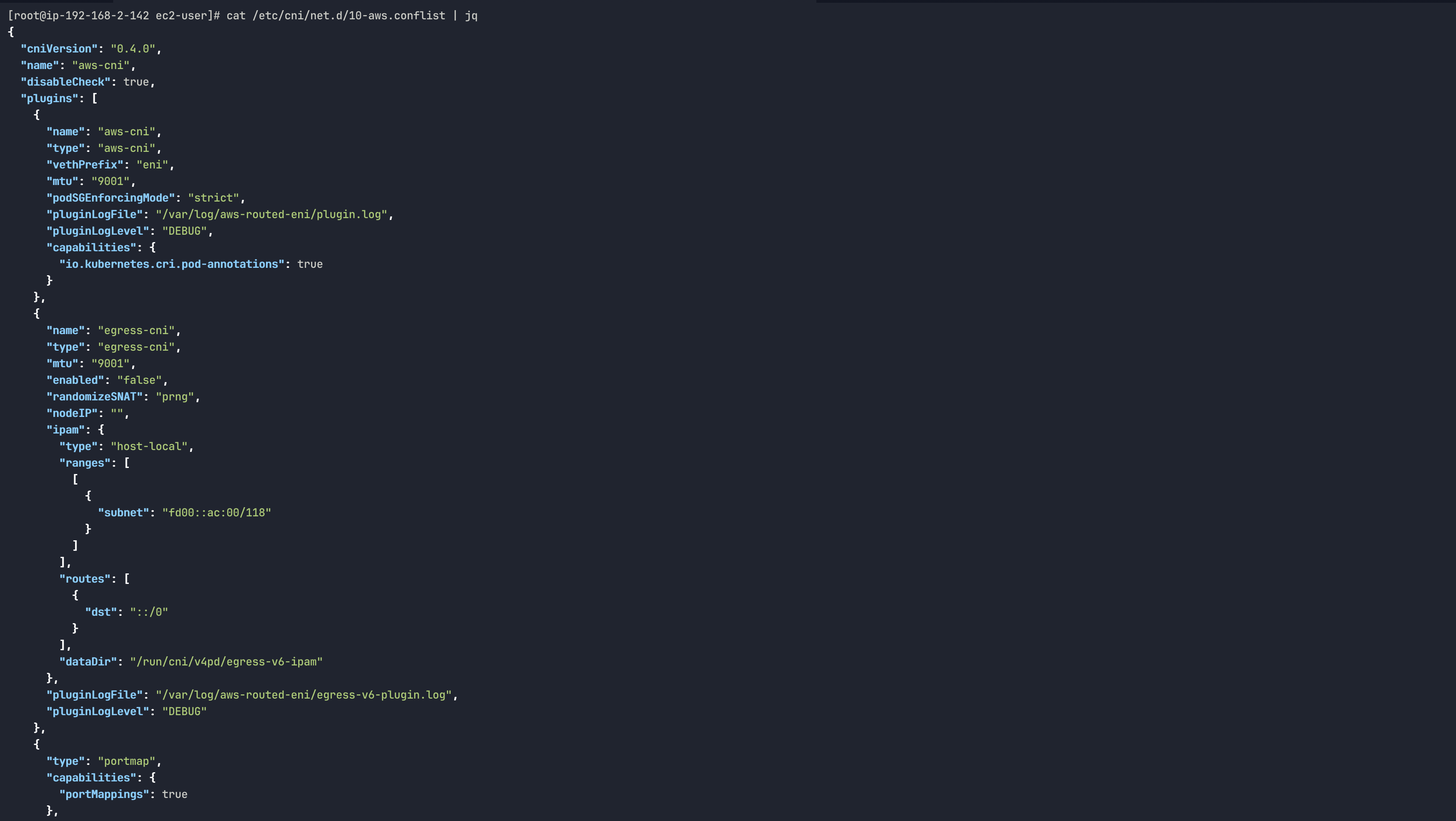 cat /etc/cni/net.d/10-aws.conflist | jq