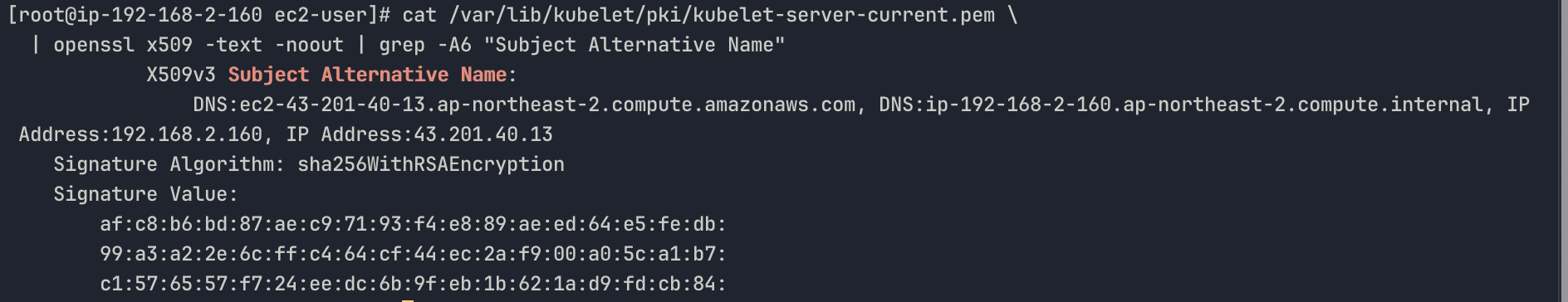 cat /var/lib/kubelet/pki/kubelet-server-current.pem | openssl x509 -text -noout | grep -A6 "Subject Alternative Name"