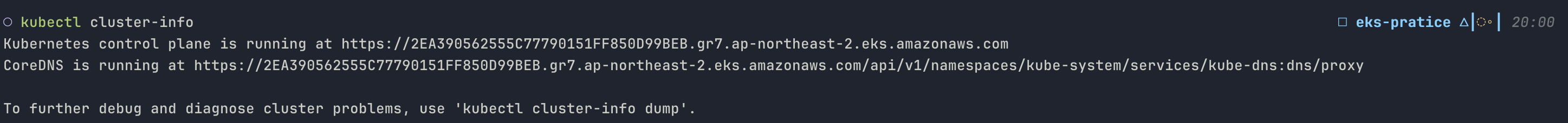 kubectl cluster-info