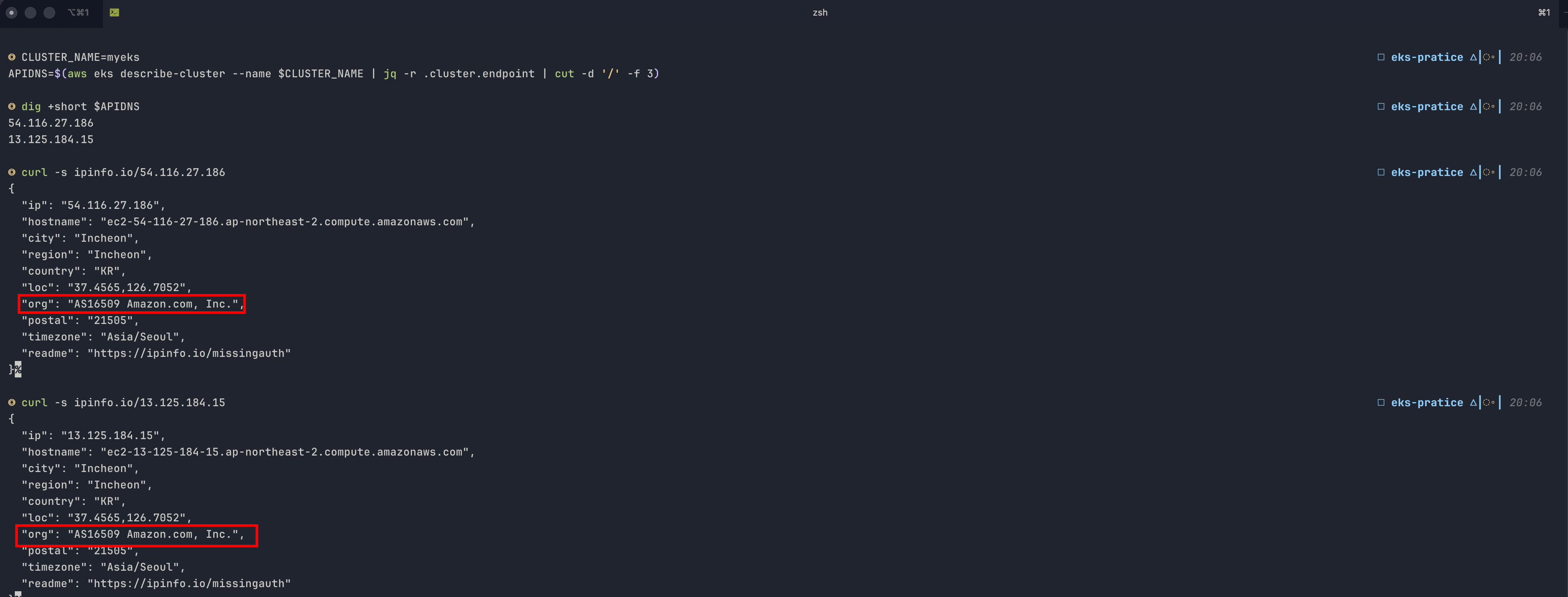 API 엔드포인트 IP 조회 결과