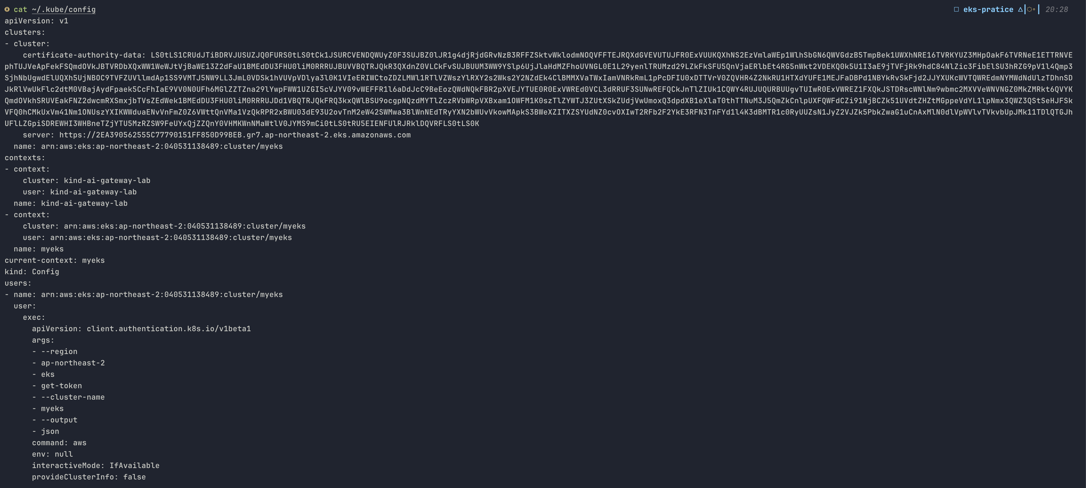 kubeconfig exec 블록 확인